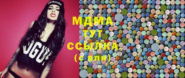 гидра Бородино