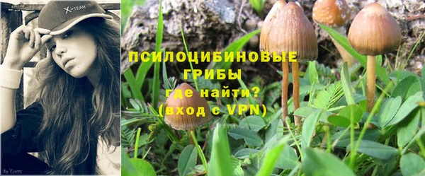 дмт Бугульма