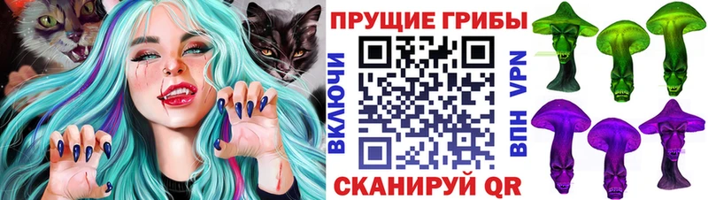 Галлюциногенные грибы Magic Shrooms  Курск 