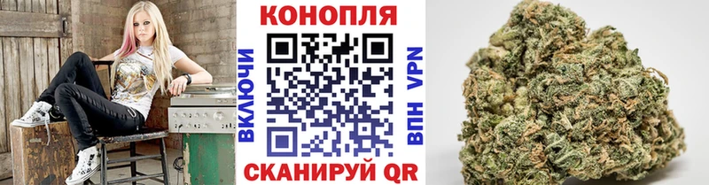 Бошки Шишки SATIVA & INDICA  Курск 